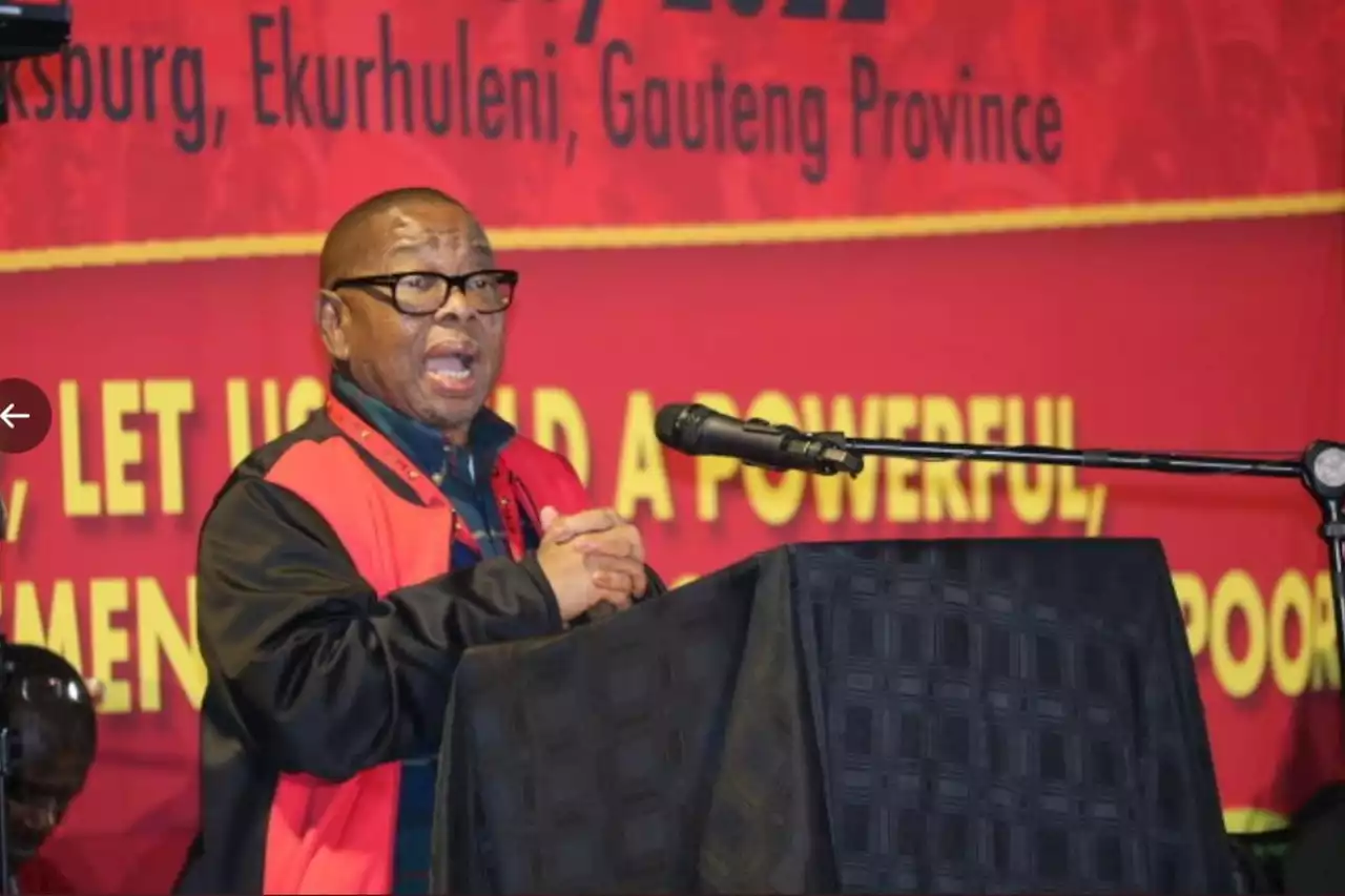 No new blood for the SACP: old dog, new bone | The Citizen