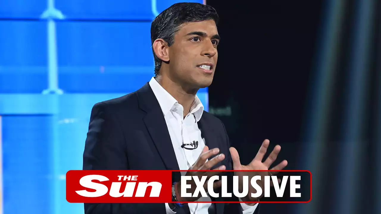 Tory voters see Rishi Sunak as rich & untrustworthy — but he is top pick for PM