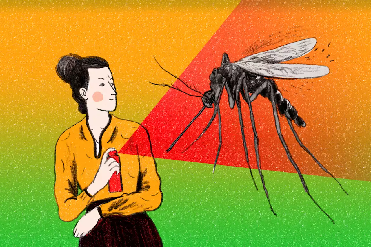 You Asked: Why Do Mosquitoes Always Bite Me?