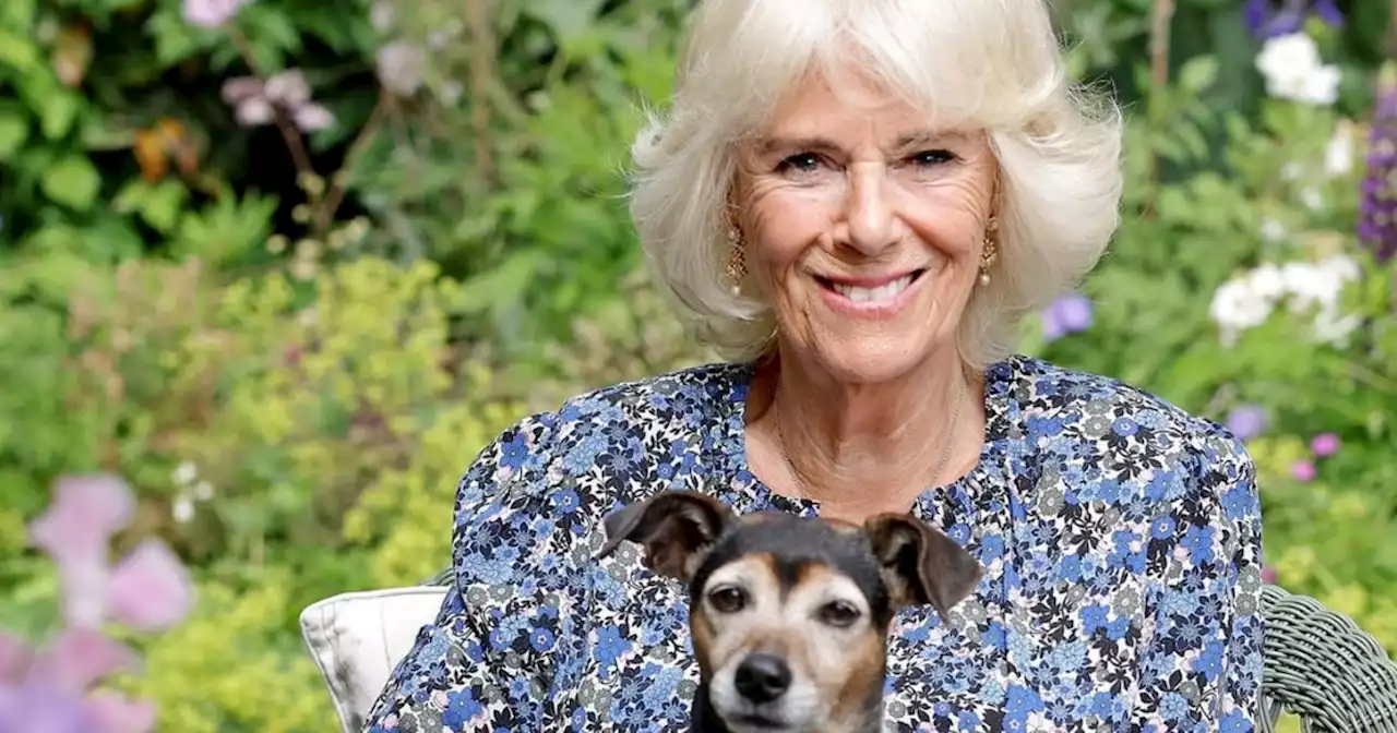 Camilla is 75! Kensington Palace shares new portraits of the duchess to celebrate her big day