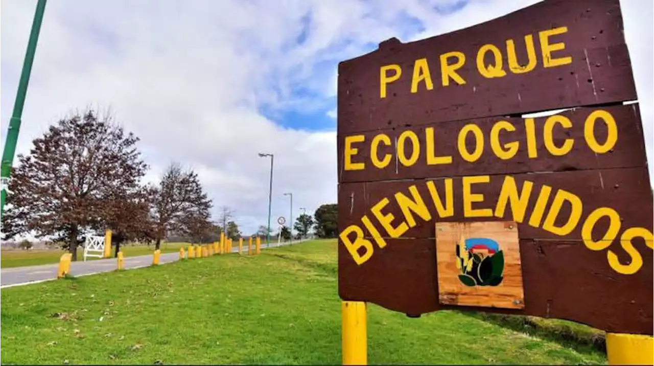 Abusaron a una mujer en el Parque Ecológico de La Plata: la atacaron mientras entrenaba