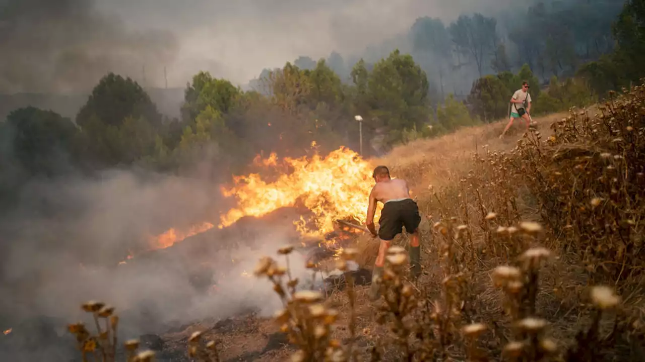 More Than 1,000 Die as Record-Breaking Heat and Wildfires Scorch Europe