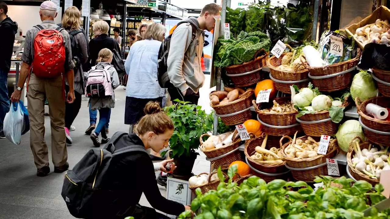 Inflationen får danskerne til at holde igen - her sparer vi mest