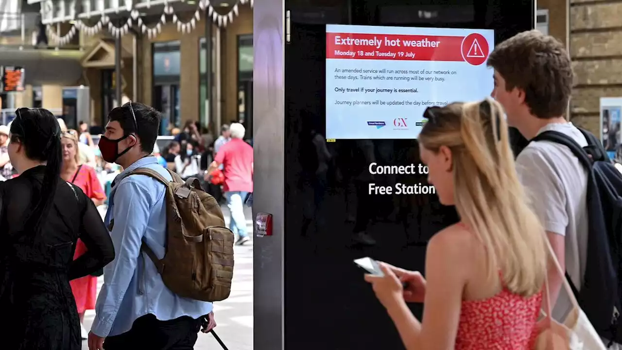 Vi kommer til at se flere hedebølger i fremtiden – men vi er slet ikke klar til dem