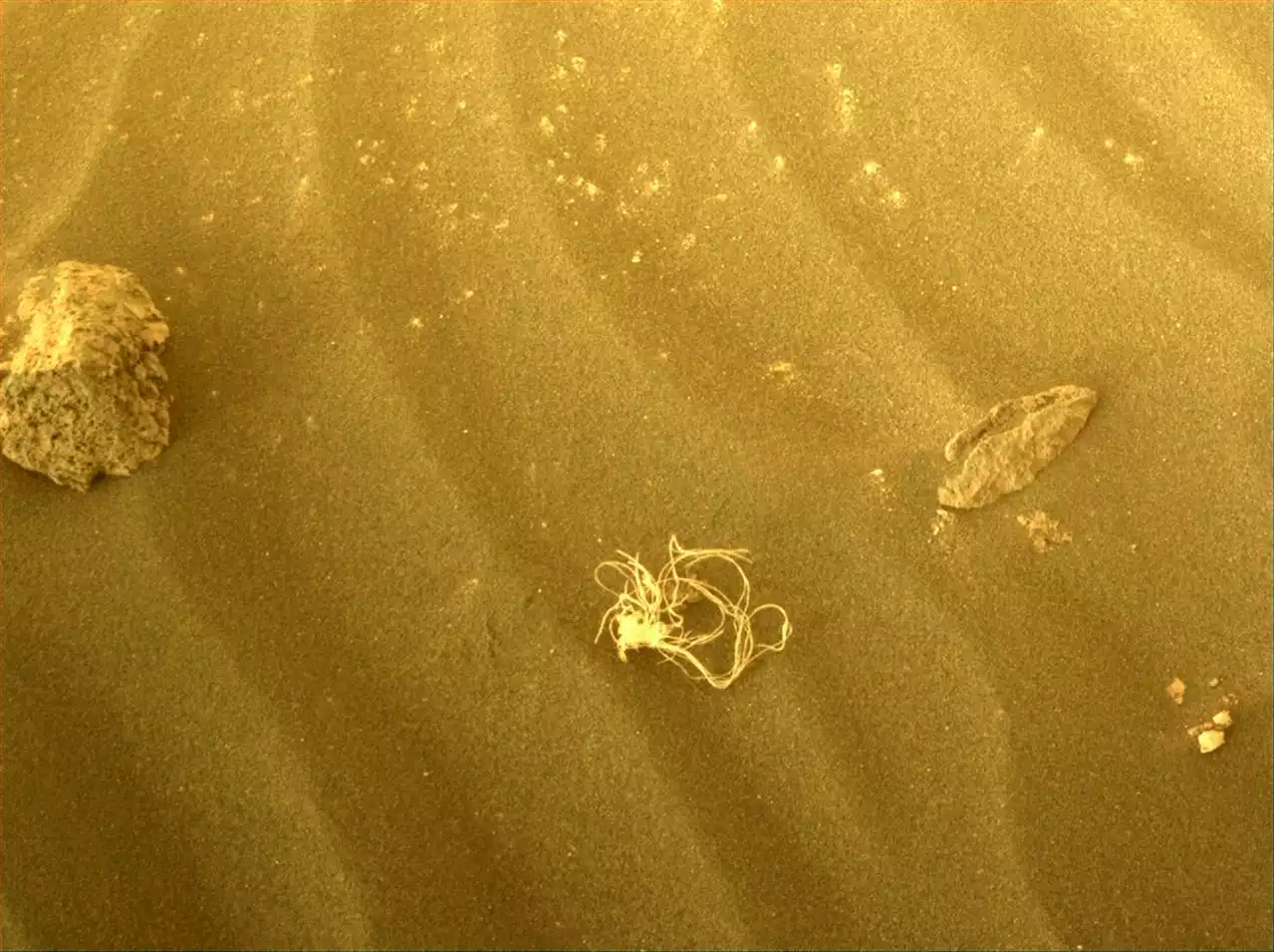 Weird String-Like Object Found on Mars, Probably Dropped by the Rover