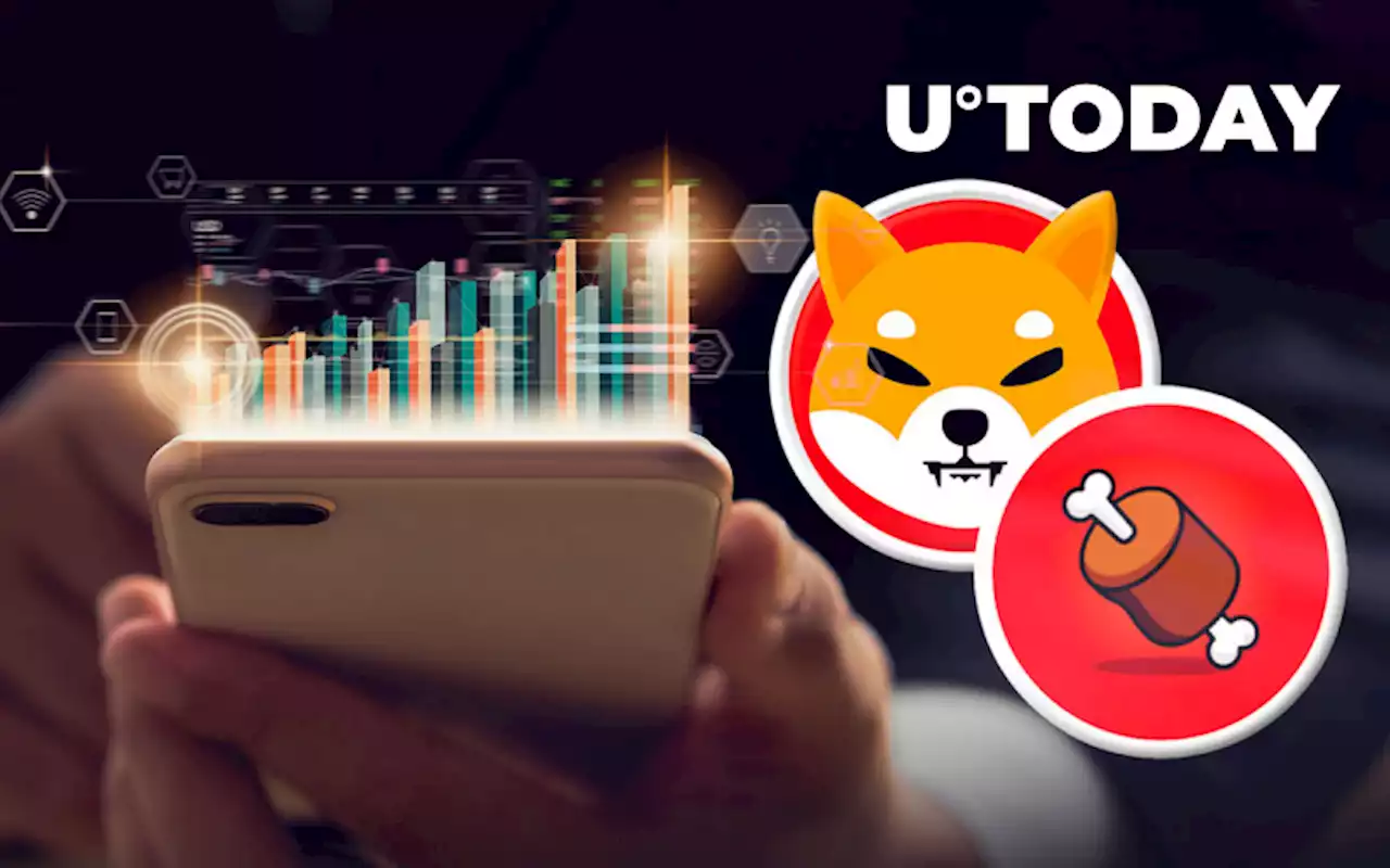 Shiba Inu's Governance Token BONE Nears Key Milestone; SHIB Price Up 5%