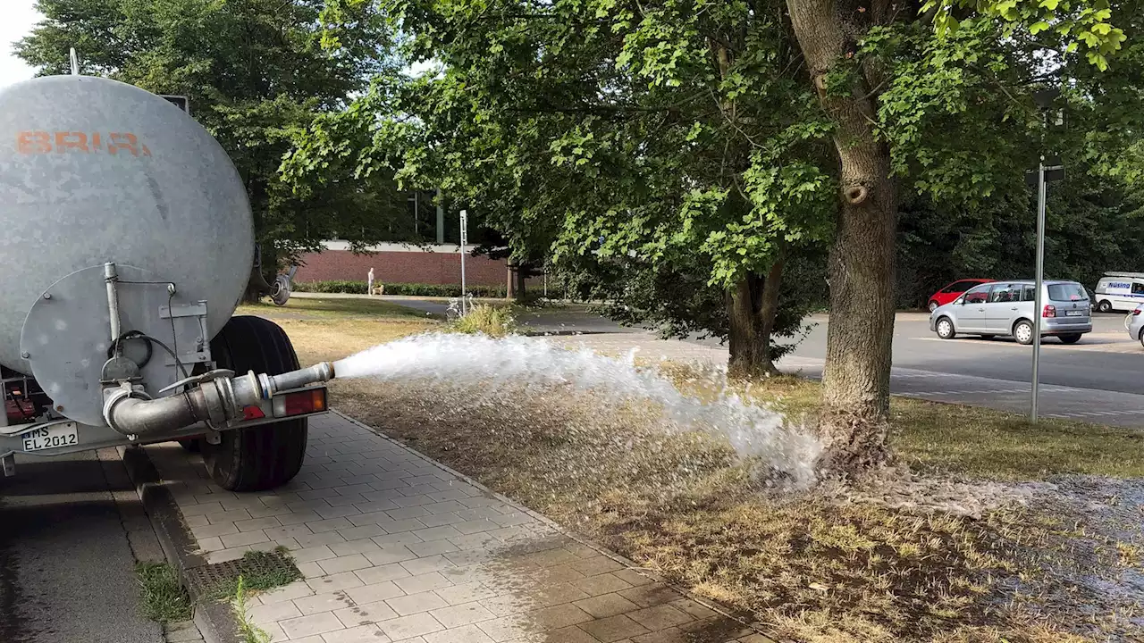 Hallenbad-Wasser gegen Trockenheit