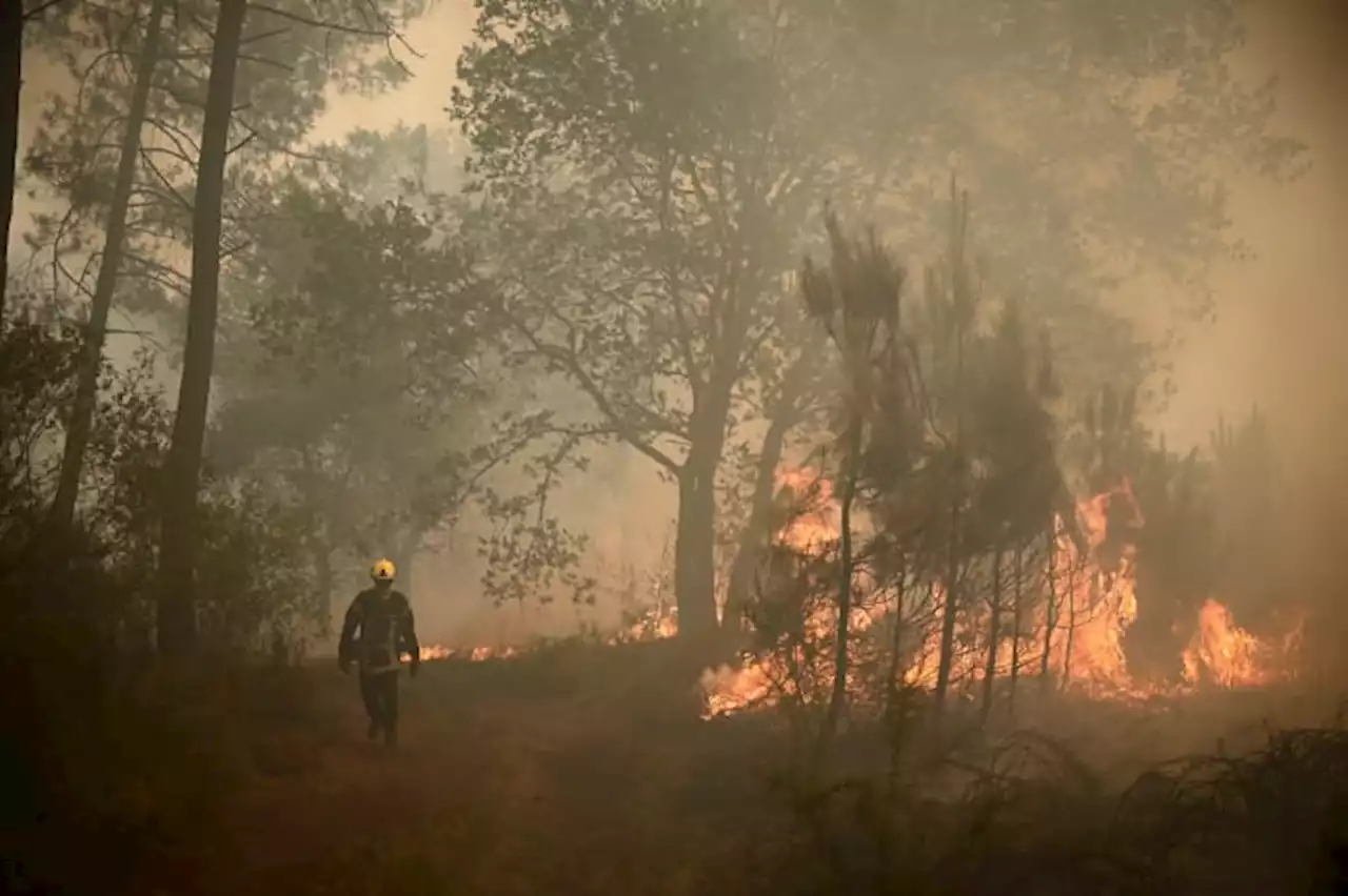 Europe broils in heat wave that fuels fires in France, Spain