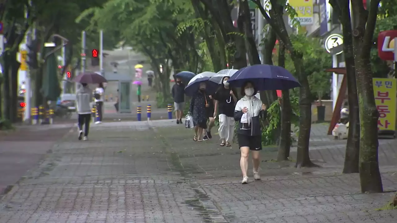 [날씨] 전남·경남 해안 '호우경보'...남부 강한 비바람, 250mm↑