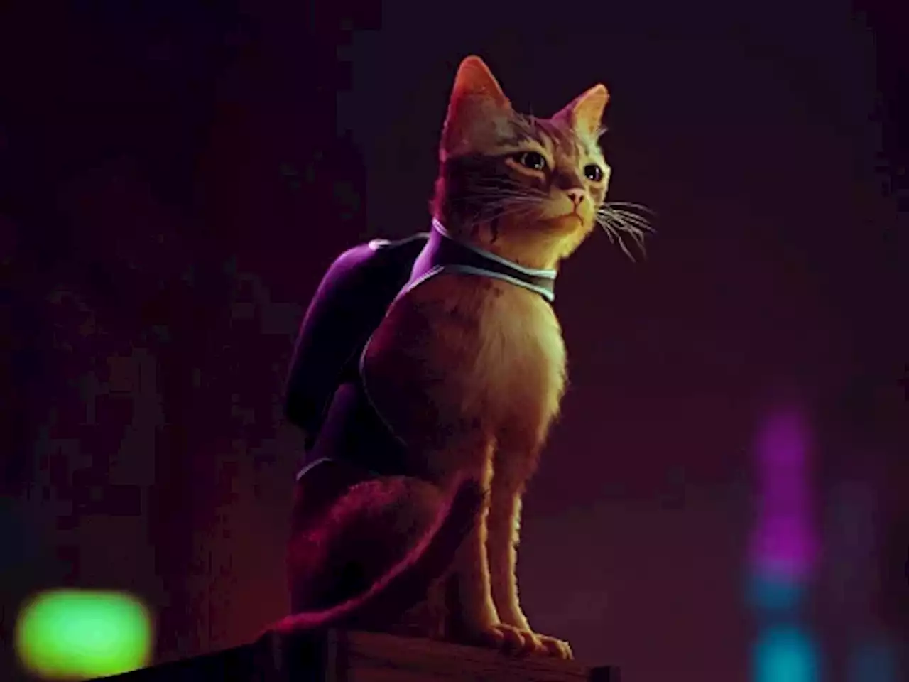 Everyone’s Raving About This Video Game Where You’re A Stray Cat...