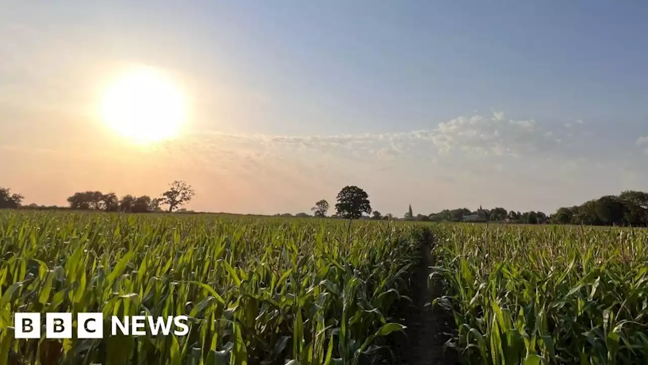 East Midlands: Record high temperatures recorded