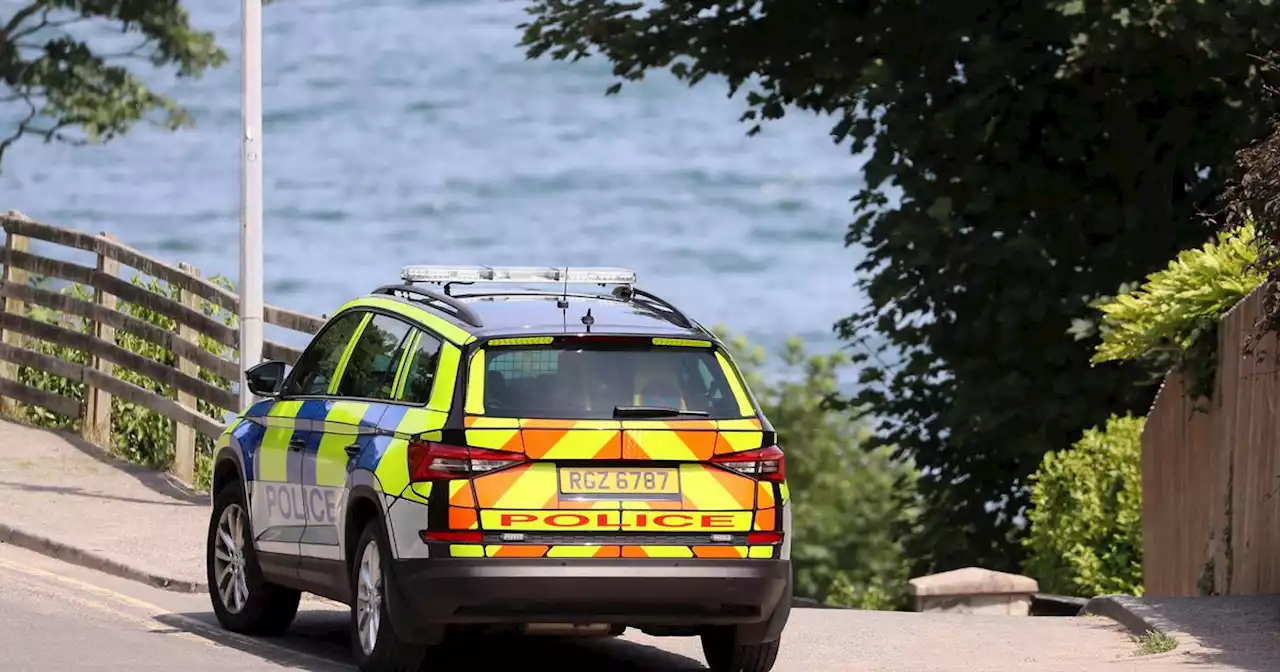 Police officer injured amid anti-social behaviour at Co Down beach