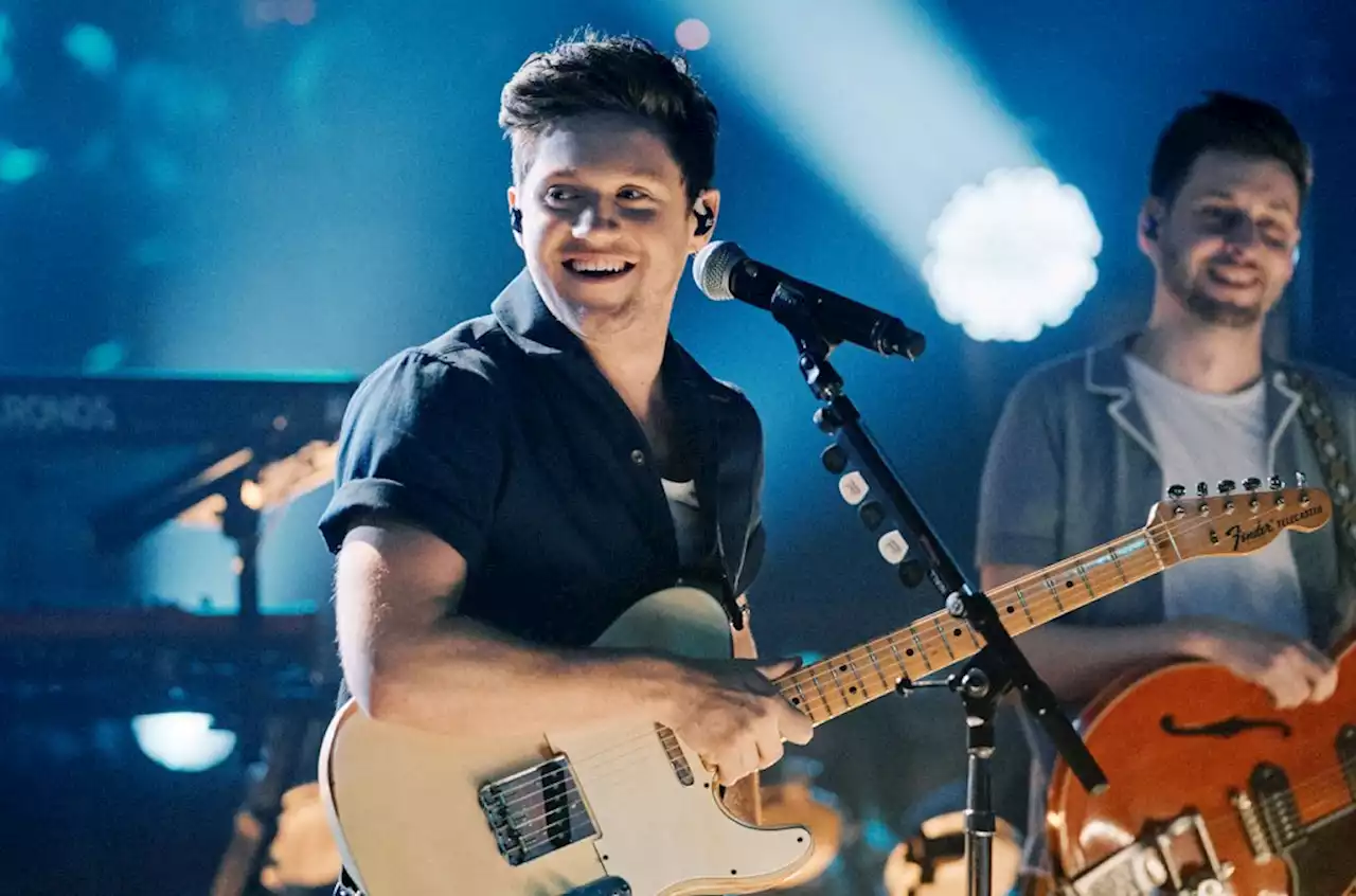 Niall Horan Takes Hilarious Credit for the Nile River: ‘It Was Named After Me’