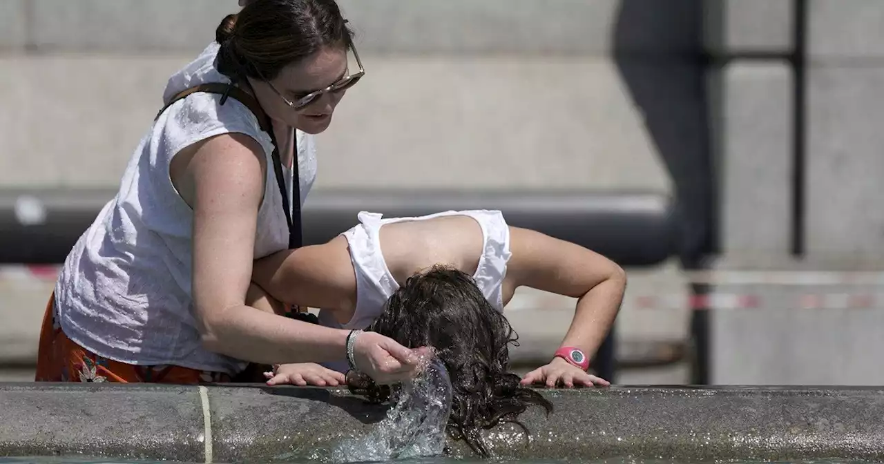 Ola de calor en Europa: el Reino Unido registró la mayor temperatura de su historia y esperan que siga subiendo