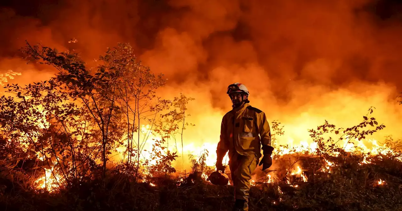 'Collective Action or Collective Suicide': UN Chief Pleads for Real Climate Response