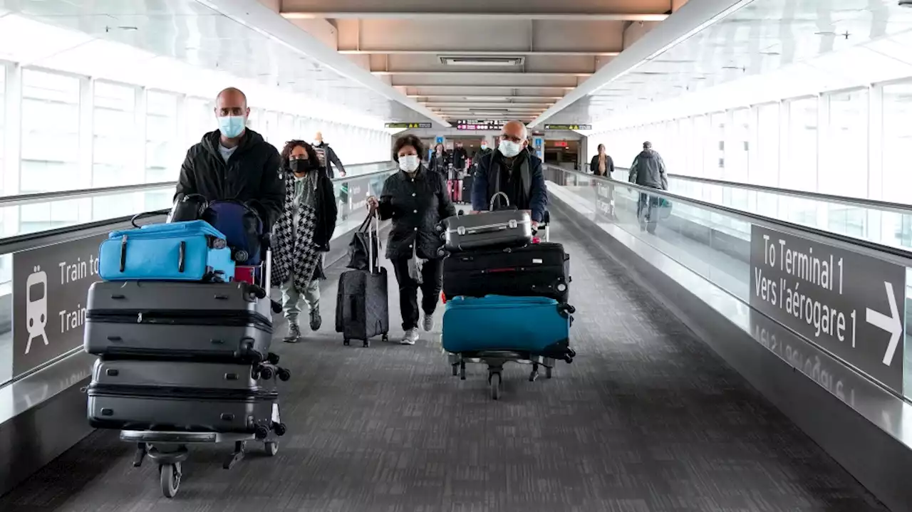 Random COVID testing for air travellers returns, but expert calls for more data transparency