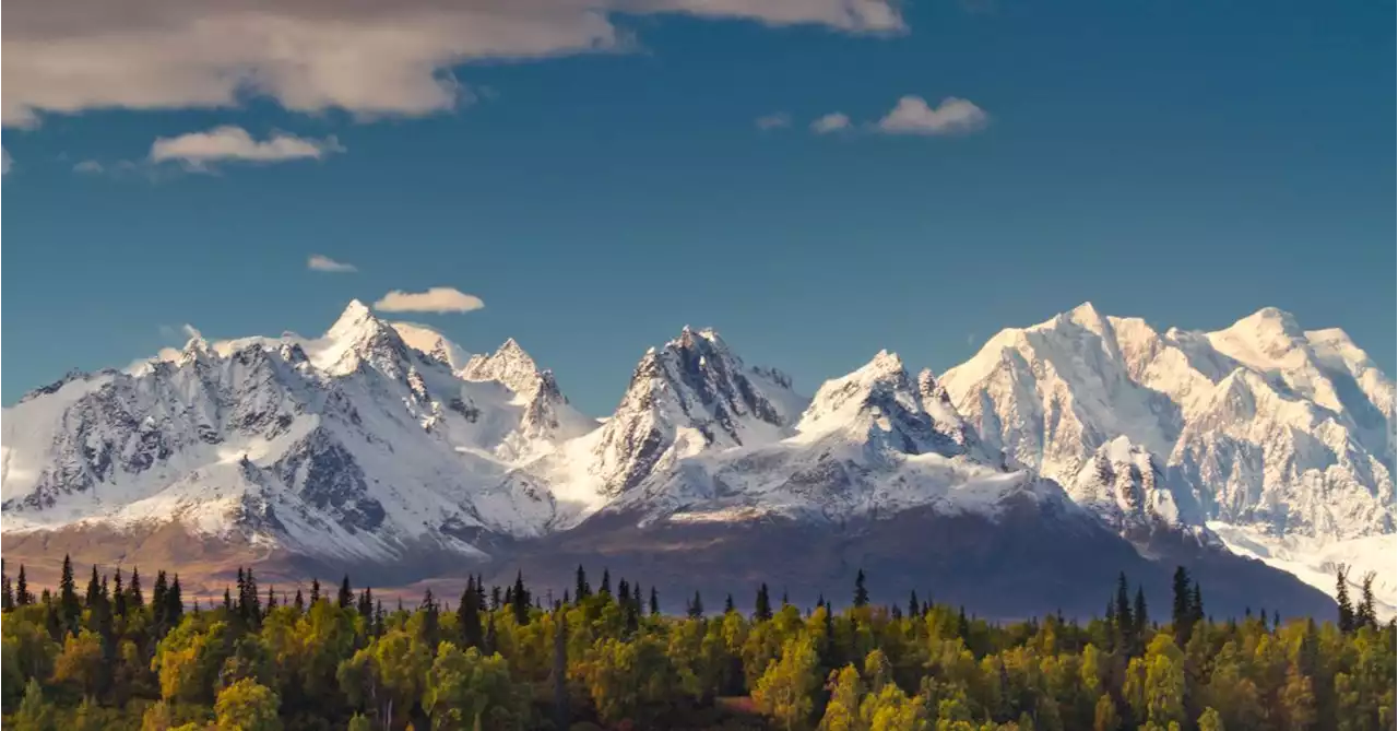 Where to Eat Around Alaska’s Denali National Park