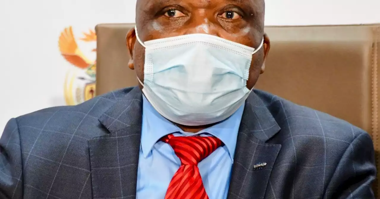 Health Minister Joe Phaahla tests positive for COVID-19