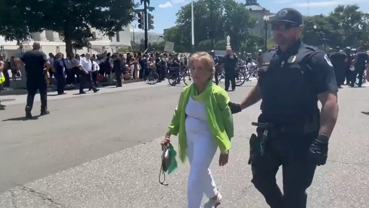 Schakowsky among several House Dems arrested during abortion protest near Supreme Court