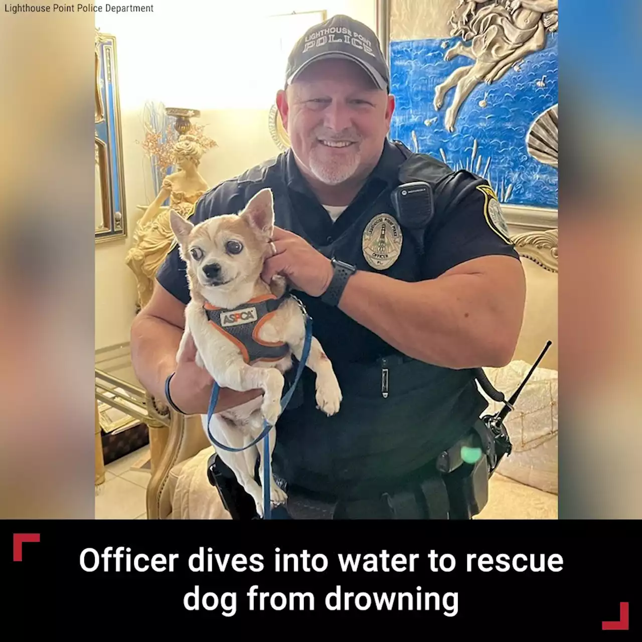 Florida cop dives into dark water to rescue dog from drowning