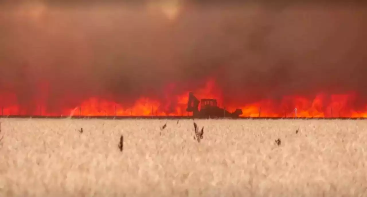 Spanish man burnt by wildfire as he tried to save town now fighting for his life