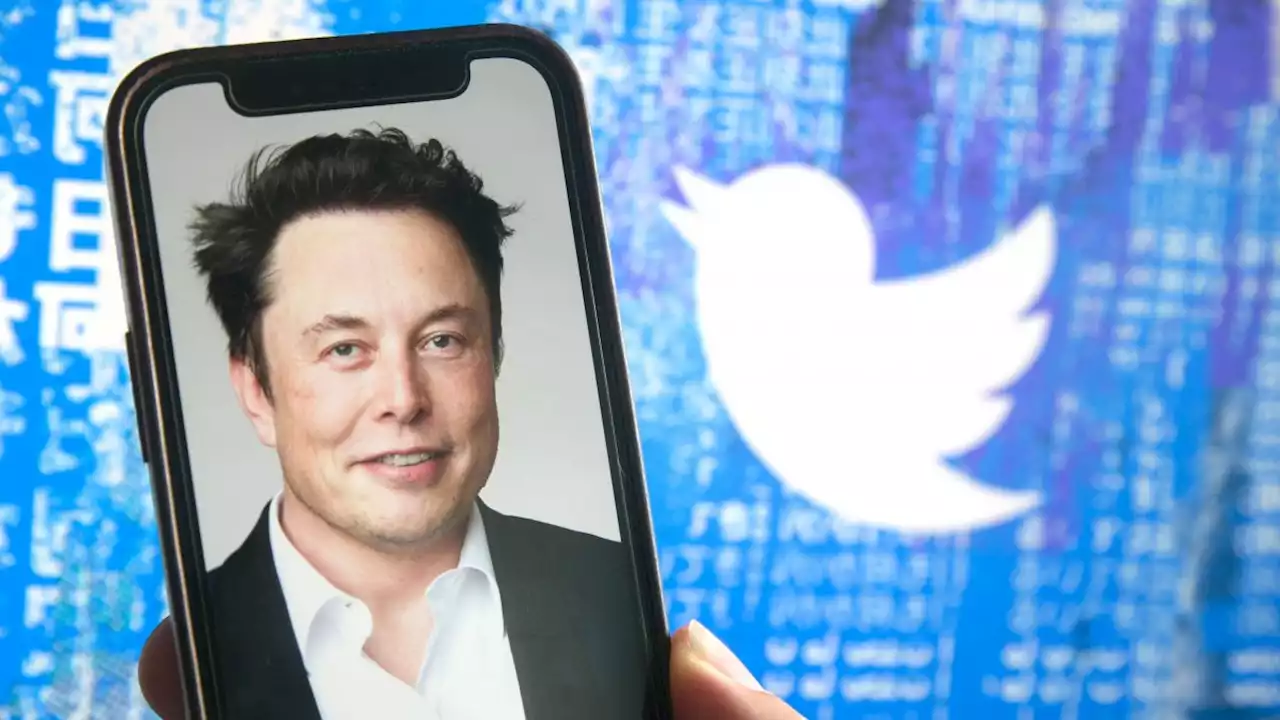 Twitter v. Musk: Eiliges Gerichtsverfahren schon im Oktober