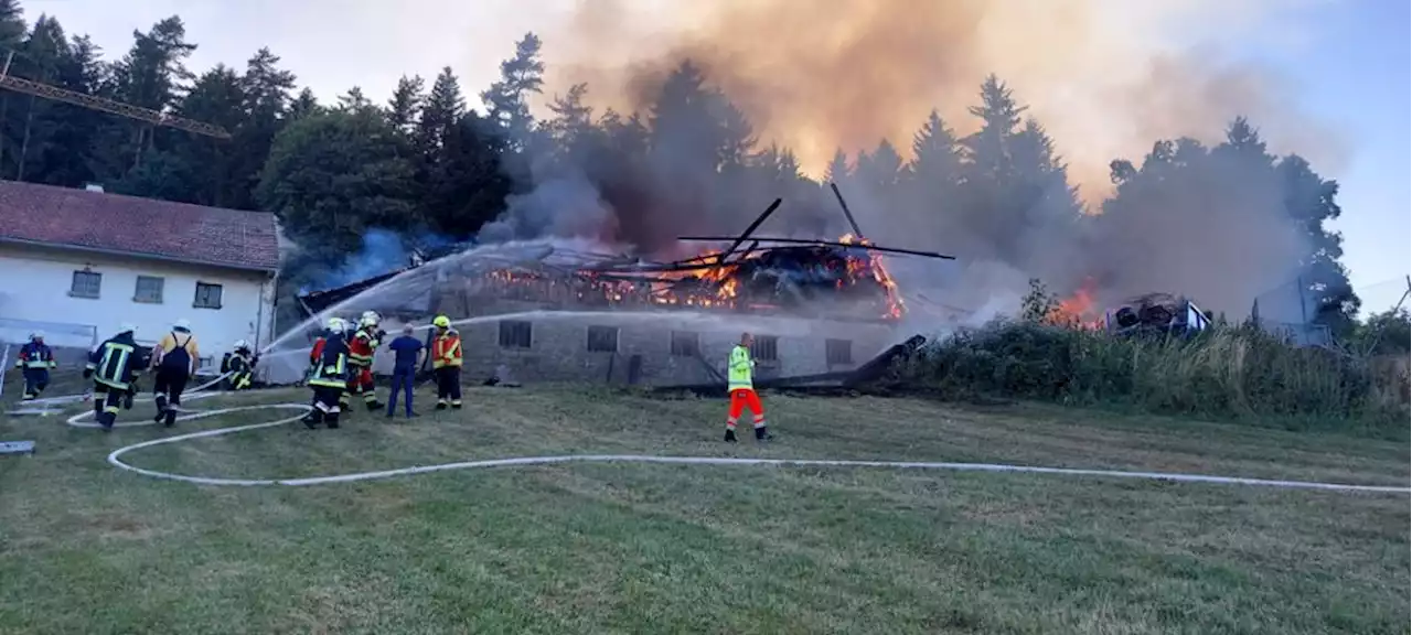 Gewaltige Rauchsäule über Kollnburg: Stall steht in Flammen - mehrere Kühe verendet - idowa