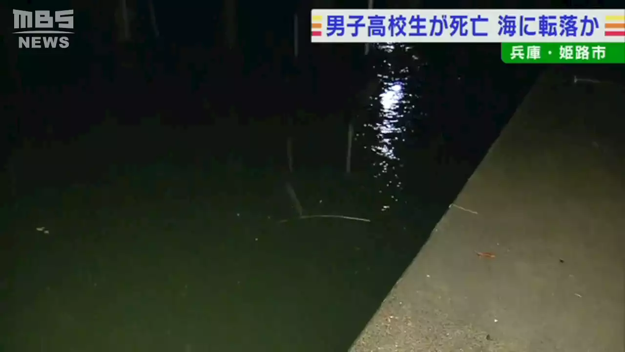 高校生が海に転落し死亡…海岸付近で友人らと花火をしに集まる 海岸から足滑らせたか - トピックス｜Infoseekニュース