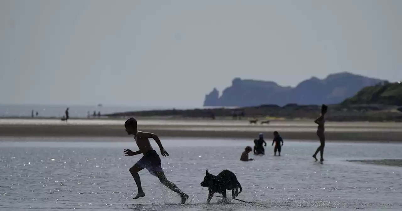 High temperature warning in place for Leinster but rain and thunder expected on Tuesday