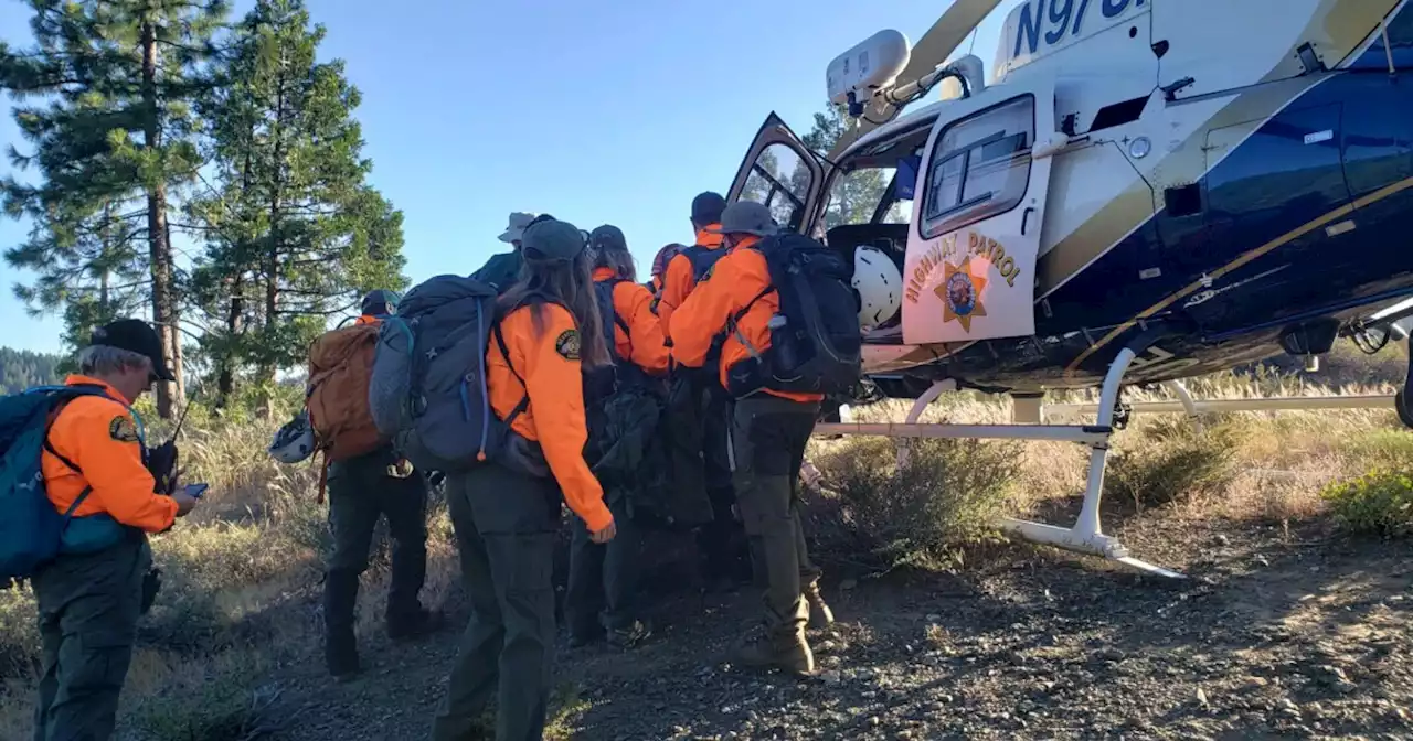 'True Lassie': Dog leads rescue team to man who plunged 70 feet near Tahoe National Forest