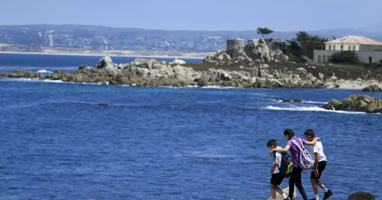 Shark that attacked Monterey Bay swimmer was about 15 feet long, wildlife officials say