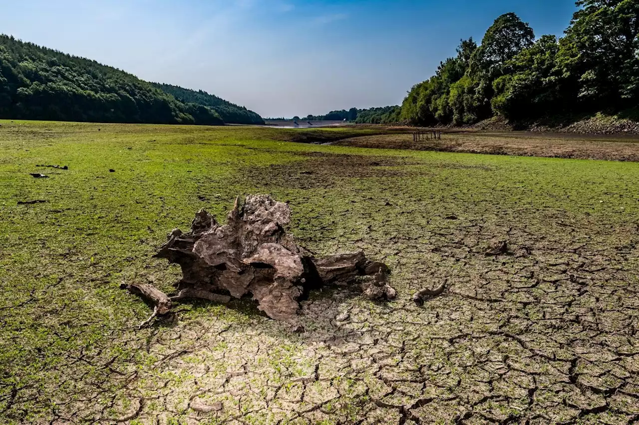 Dramatic footage shows a Leeds reservoir on the verge of totally drying up