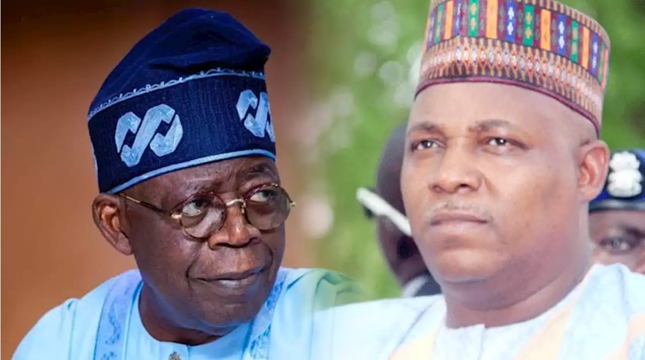 Why Tinubu snubbed North-West for Shettima - Campaign spokesman - Punch Newspapers