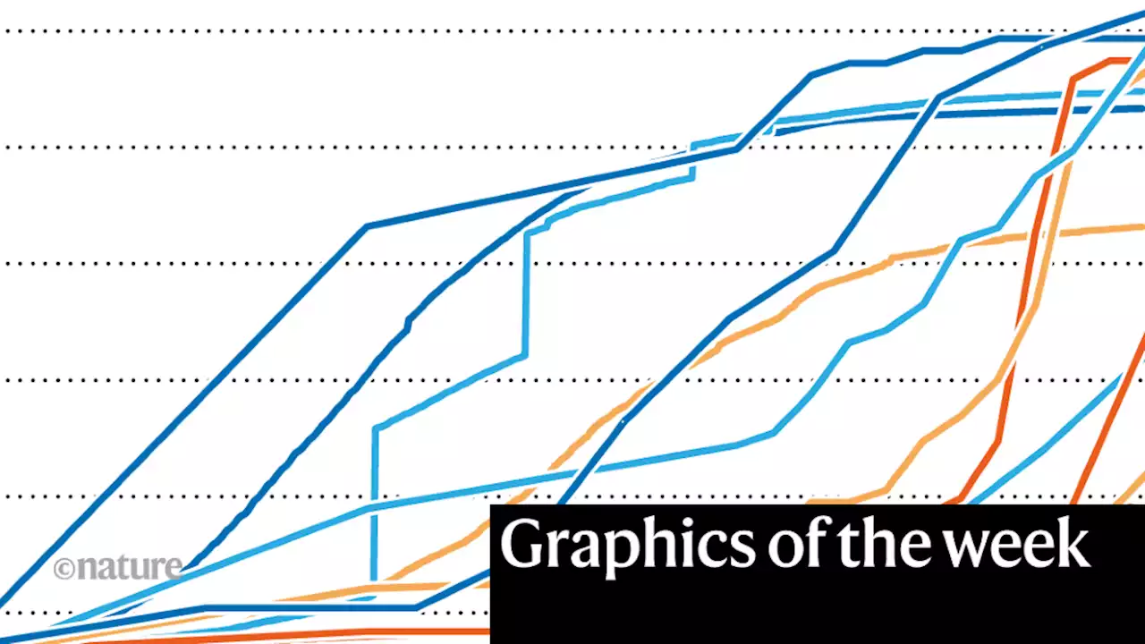 COVID immunity, 3D nucleus — the week in infographics