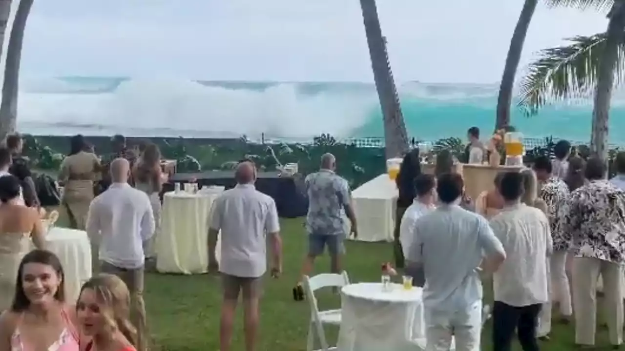 Hawaii Waves Swamp Homes, Weddings During ‘Historic' Swell