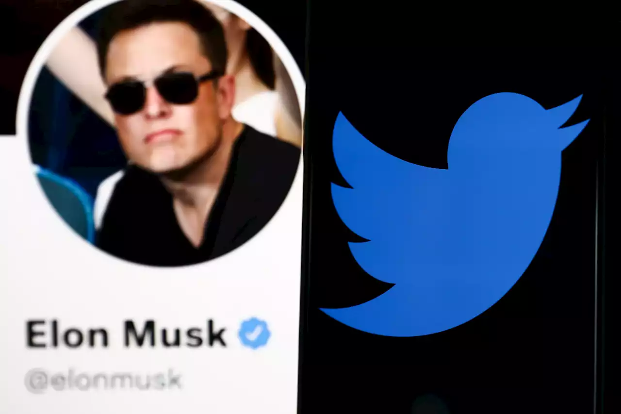 Twitter Fires Back at Elon Musk's Attempt to Delay Trial