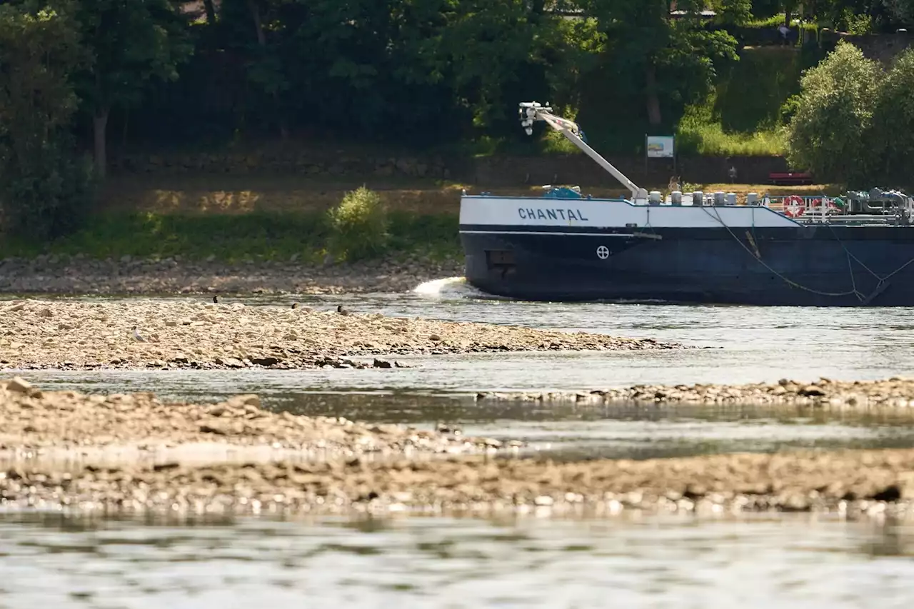 Europe's mightiest river drying up amid record heatwave, causing shipping issues, deepening energy woes | Businessinsider