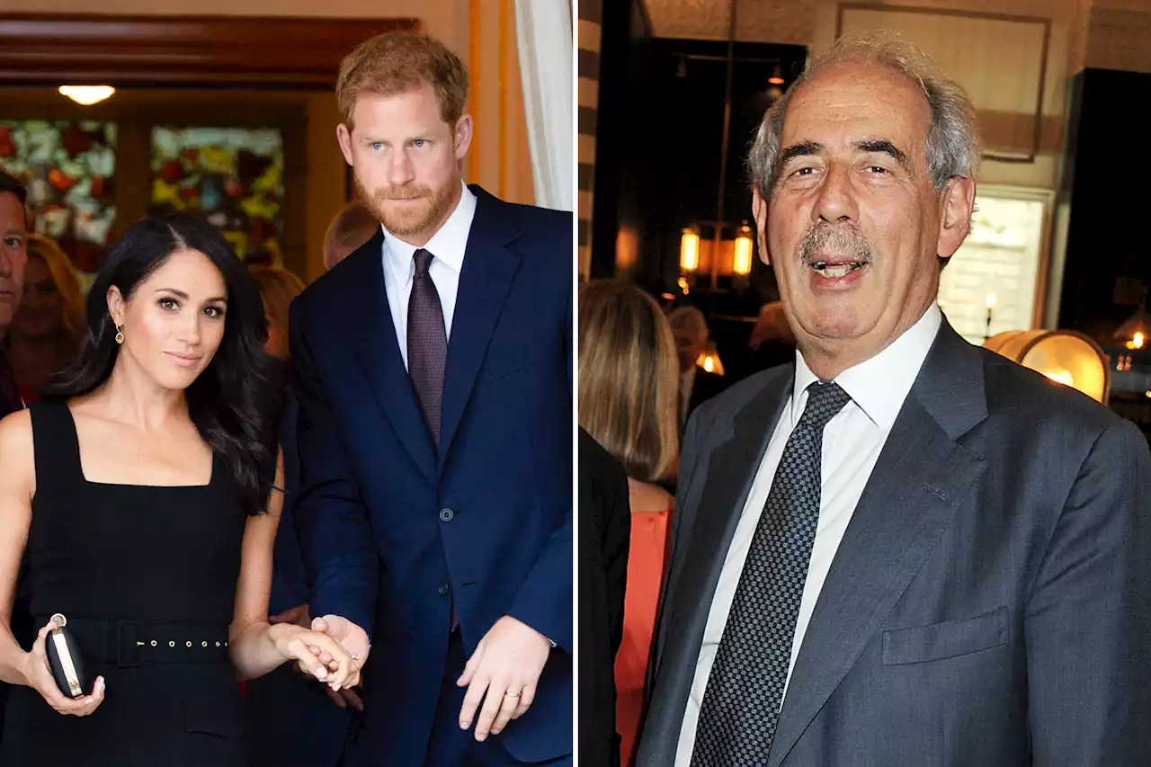 Harry, Meghan 'Revenge' biographer on new book: 'What I write is the truth'