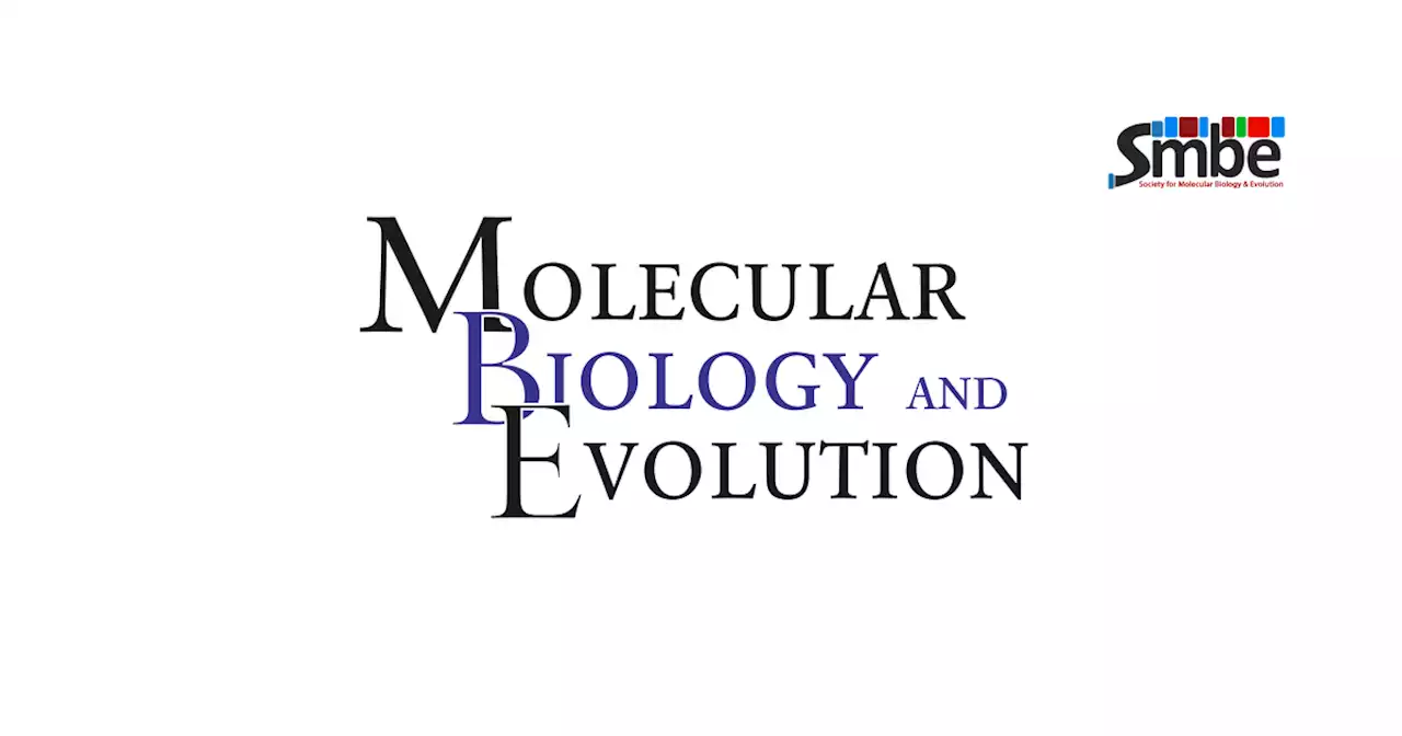 Evolution of Human-specific Alleles Protecting Cognitive Function of Grandmothers