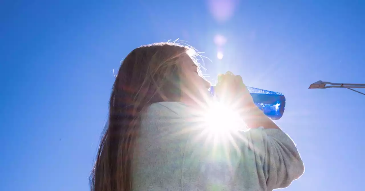 How to Stay Safe In This Summer's Record-Breaking Heatwaves