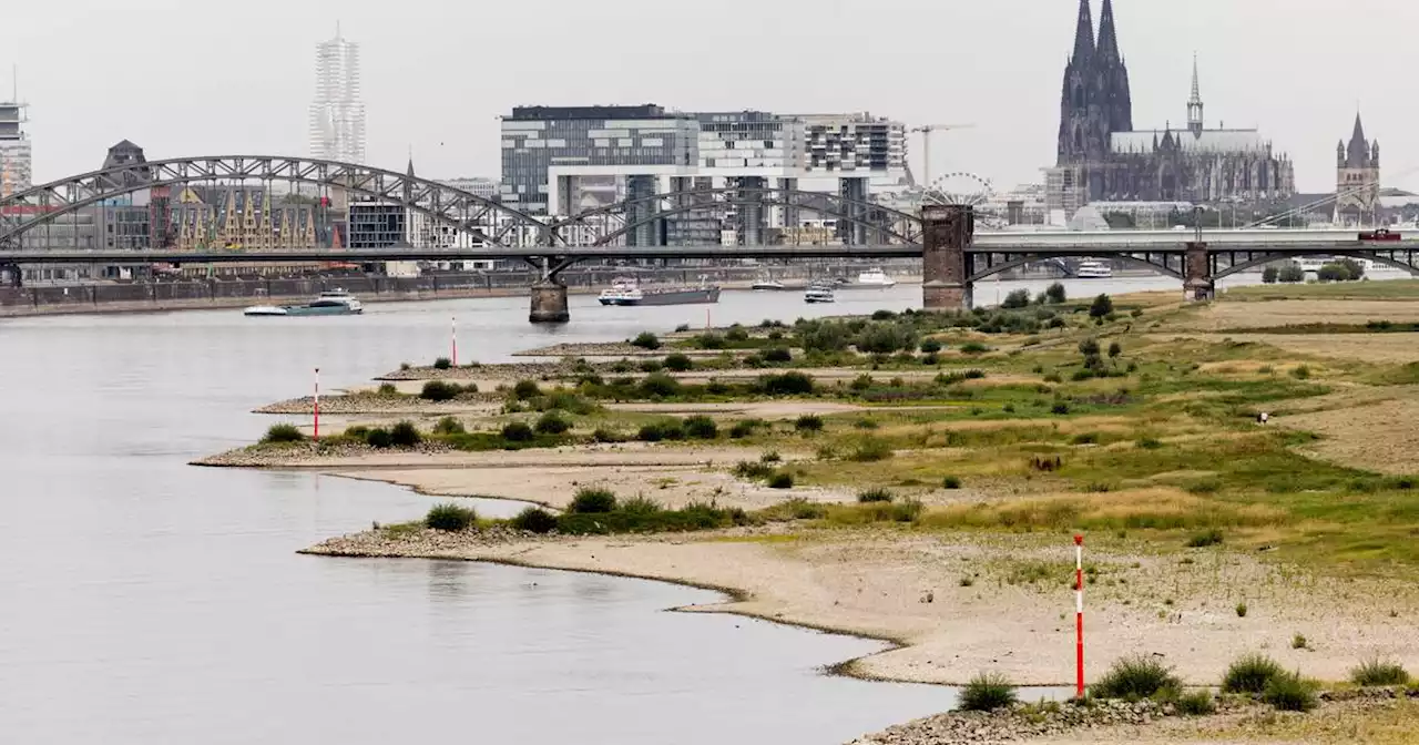 Temperaturen, Tipps, Service: Bis zu 40 Grad in NRW möglich – alle News im Liveblog