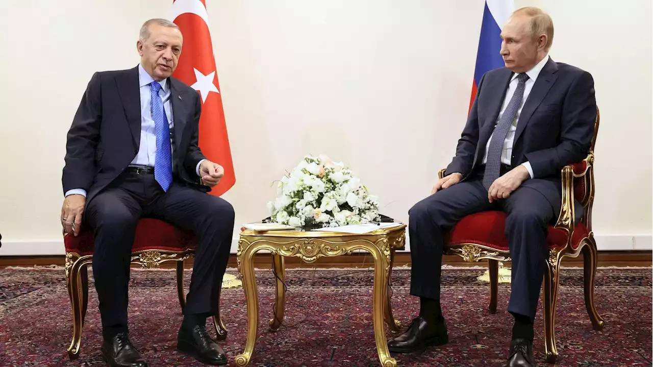 Guerre en Ukraine : Poutine signale des avancées à propos des céréales et remercie Erdogan