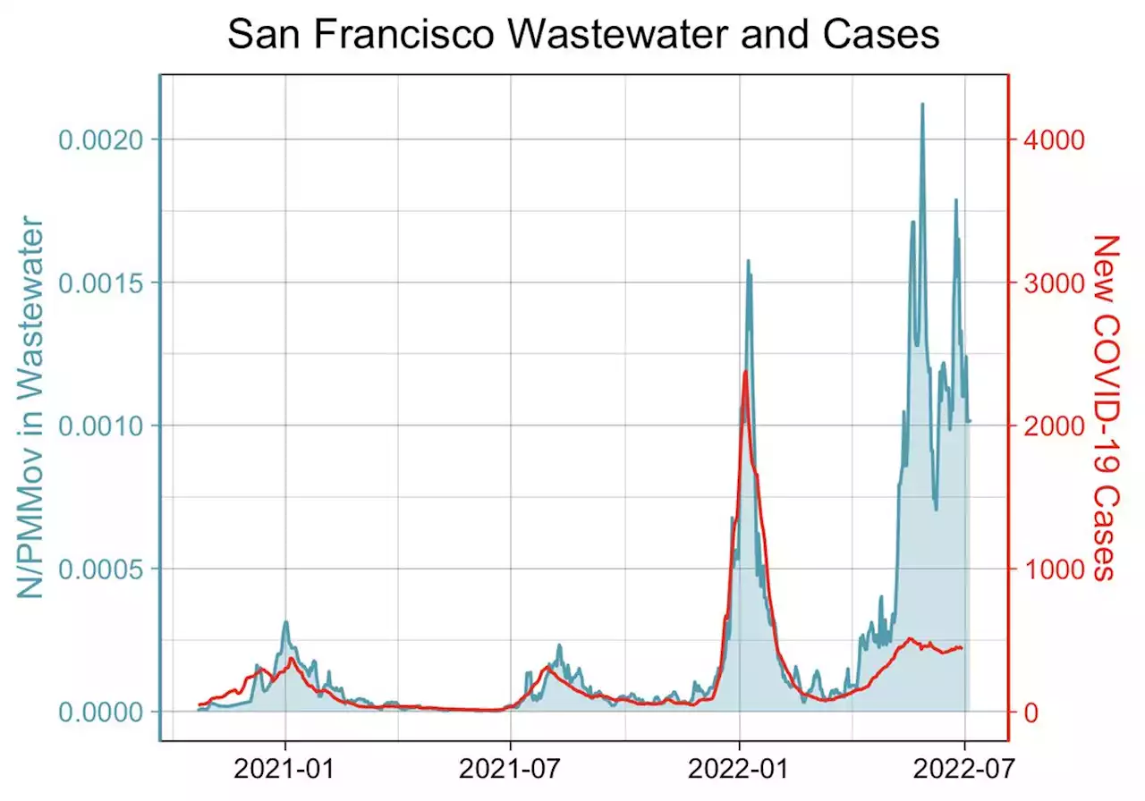 This chart shows SF COVID cases are wildly undercounted