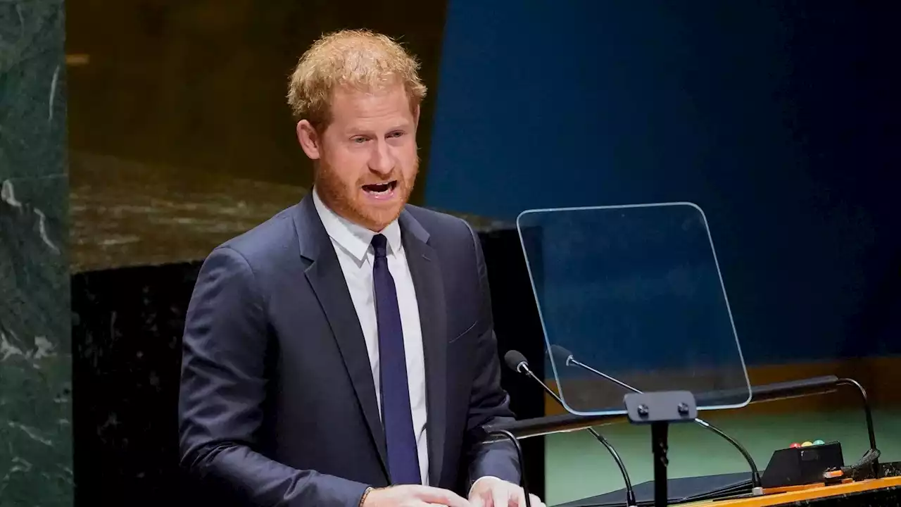 Prince Harry says 'this has been a painful year, in a painful decade' in United Nations Mandela Day speech