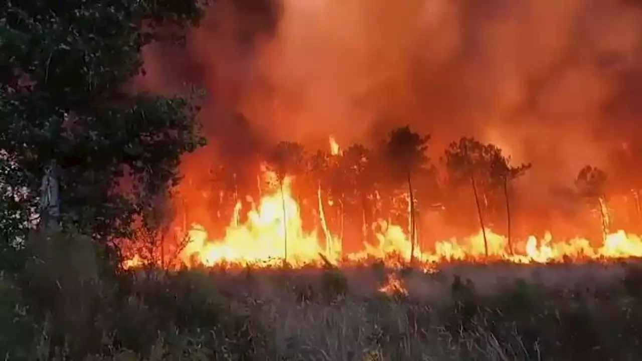 Thousands of homes at risk as apocalyptic fires tear through southwest France