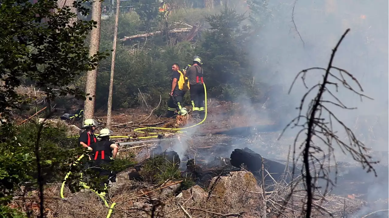 Hitze in Europa: Waldbrandgefahr auf höchster Stufe