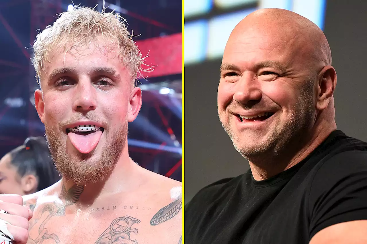 Dana White rips Jake Paul for next fight choice and having poor PPV numbers