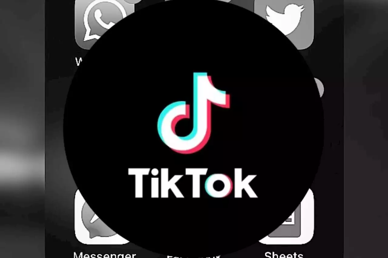 Daily hacks: How to use TikTok instead of Google as a search engine | The Citizen