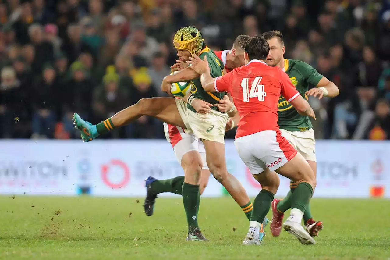 Five Springbok stand-outs from thrilling Wales series win | The Citizen