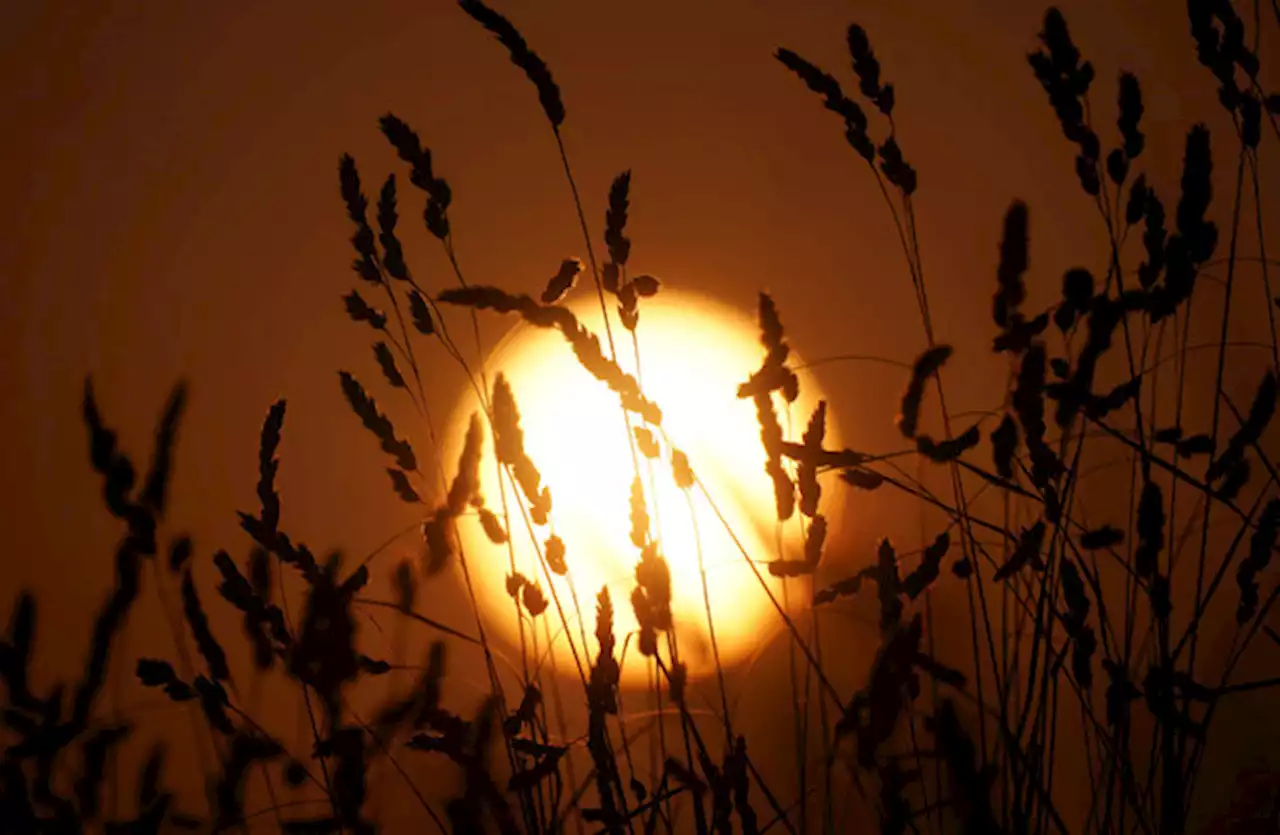 UK to see hottest day on record with melting 40C temperatures predicted